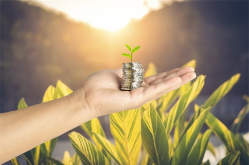 A股收评：创业板指跌1.86%！消费电子集体下挫，养殖业板块走强